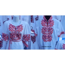 Cім’я-Г-47 Cім’я-Г-47